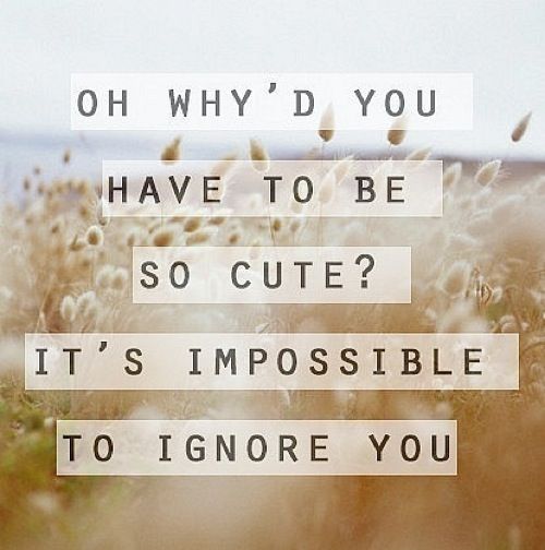 How to Unleash Your Irresistible Cuteness: A Guide to Captivating Hearts